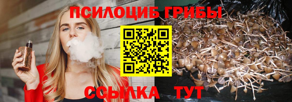 Галлюциногенные грибы Magic Shrooms  Вход с VPN  закладки  Ставрополь 