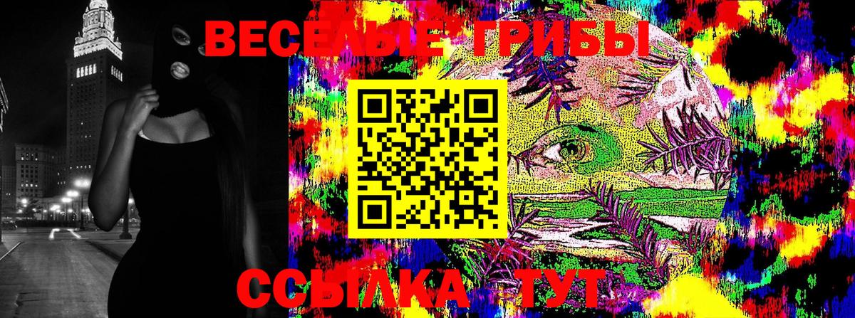 Галлюциногенные грибы GOLDEN TEACHER Ставрополь