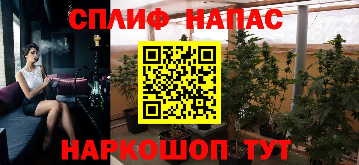 Бошки Шишки марихуана  Вход с VPN  Марихуана индика  Ставрополь  МАРИХУАНА THC 21%  Конопля OG Kush 